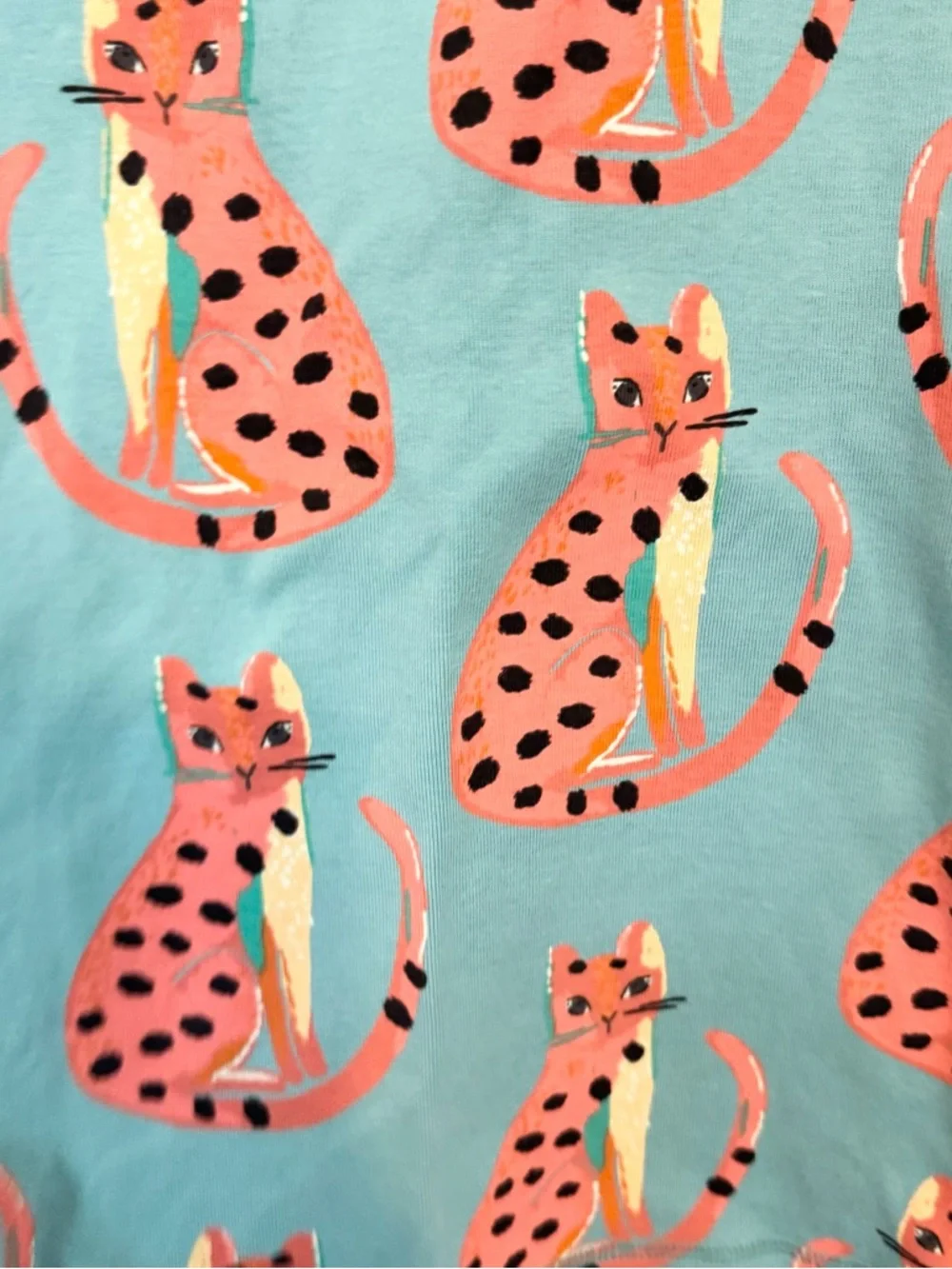 Tea Kids Collection Teal Top and Bottoms Set with Cheetah Cat Print - Size 14